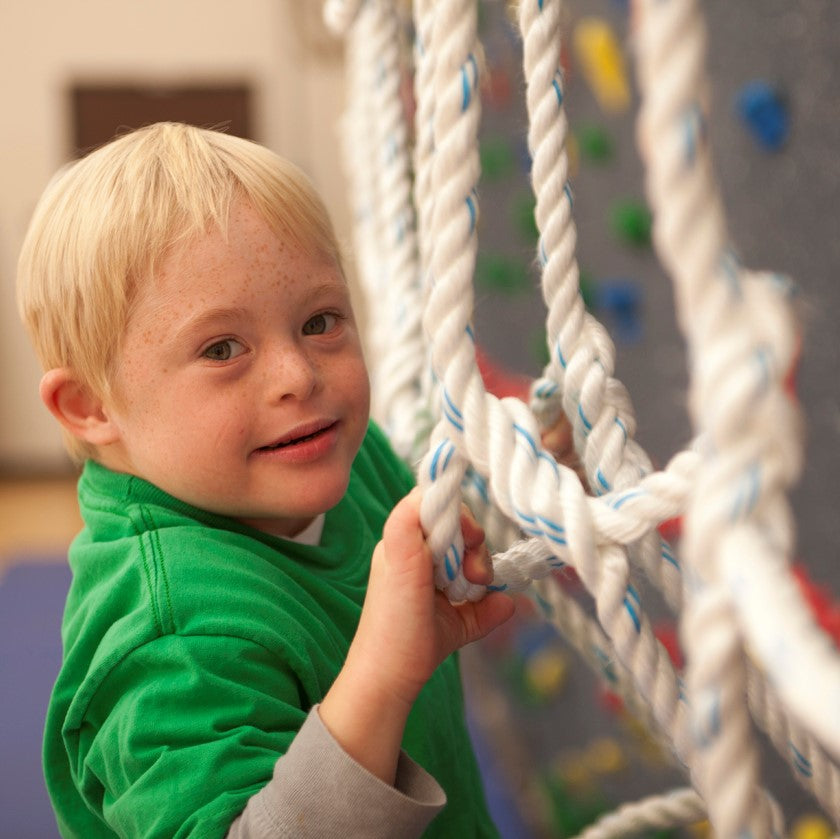 Safari® Jungle Gym Elements: The Perfect Complement to a Traverse Wall®