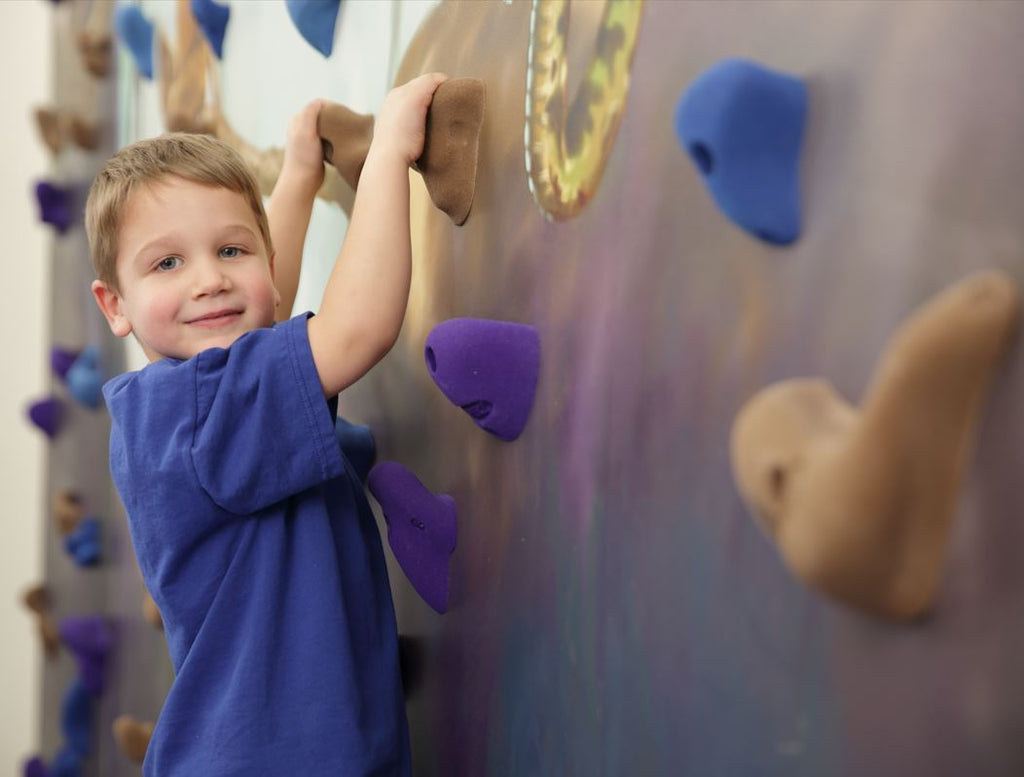 Keep Your Kids Active During Summer Break with an Everlast Climbing Home Climbing Wall!