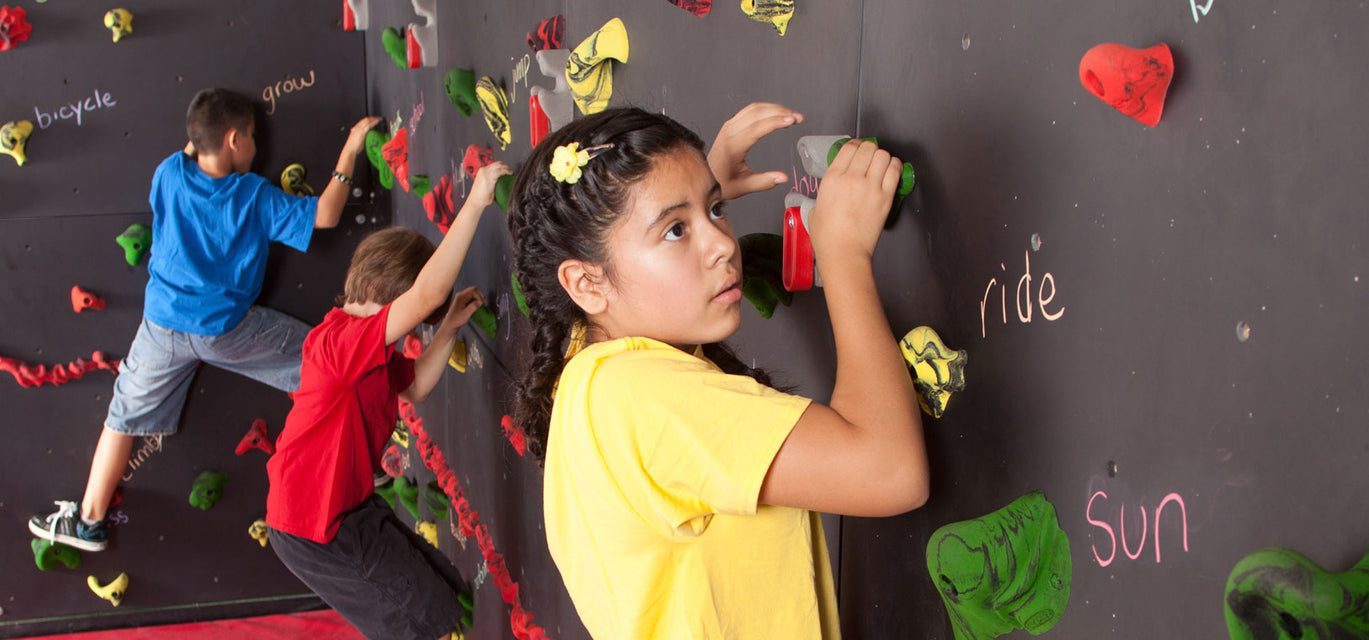 Discovery Blackboard Climbing Wall