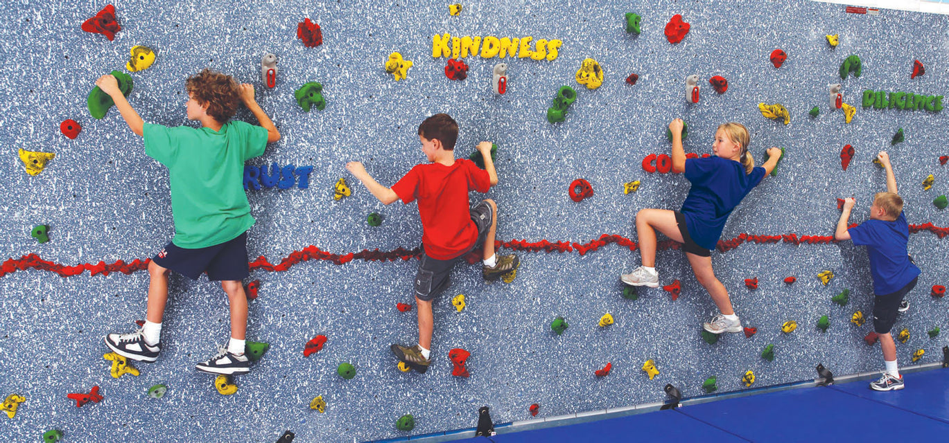 School Climbing Wall
