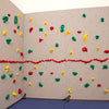 Standard Home Climbing Wall