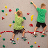 Standard Home Climbing Wall