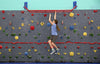 Safari Indoor Jungle Gym Monkey Bars Going Across