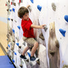 Mountain Mural Traverse Climbing Wall