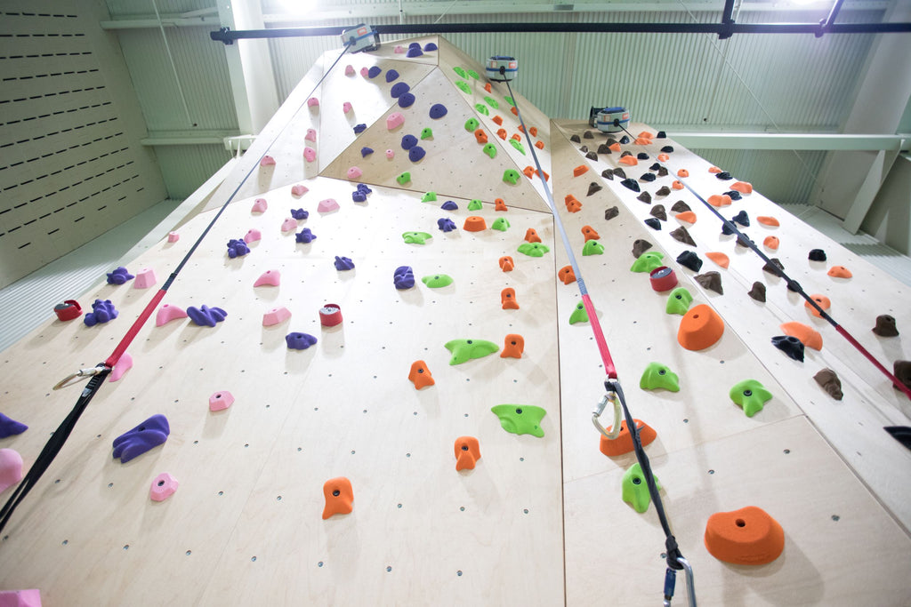 Traditional Belay or Auto Belay? How to Decide What’s Right for Your Climbing Program