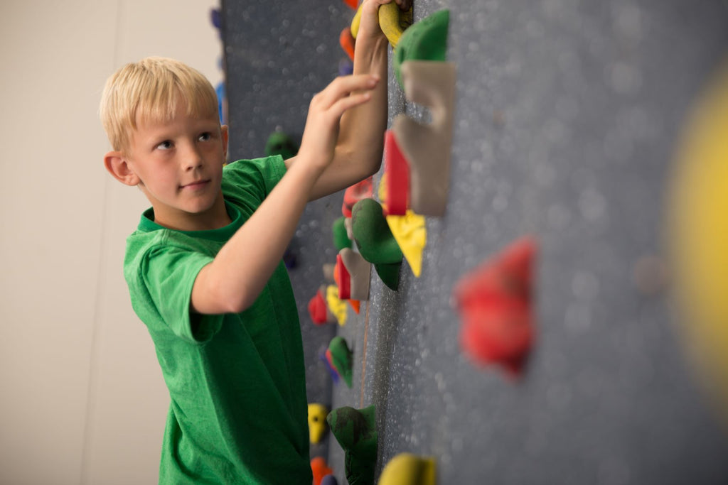 Let Us Help You Get a Climbing Wall: Resources & Support