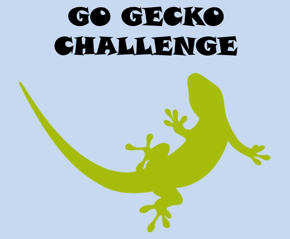 The Go Gecko Challenge: A Fun Way to Try New Things on the Climbing Wall