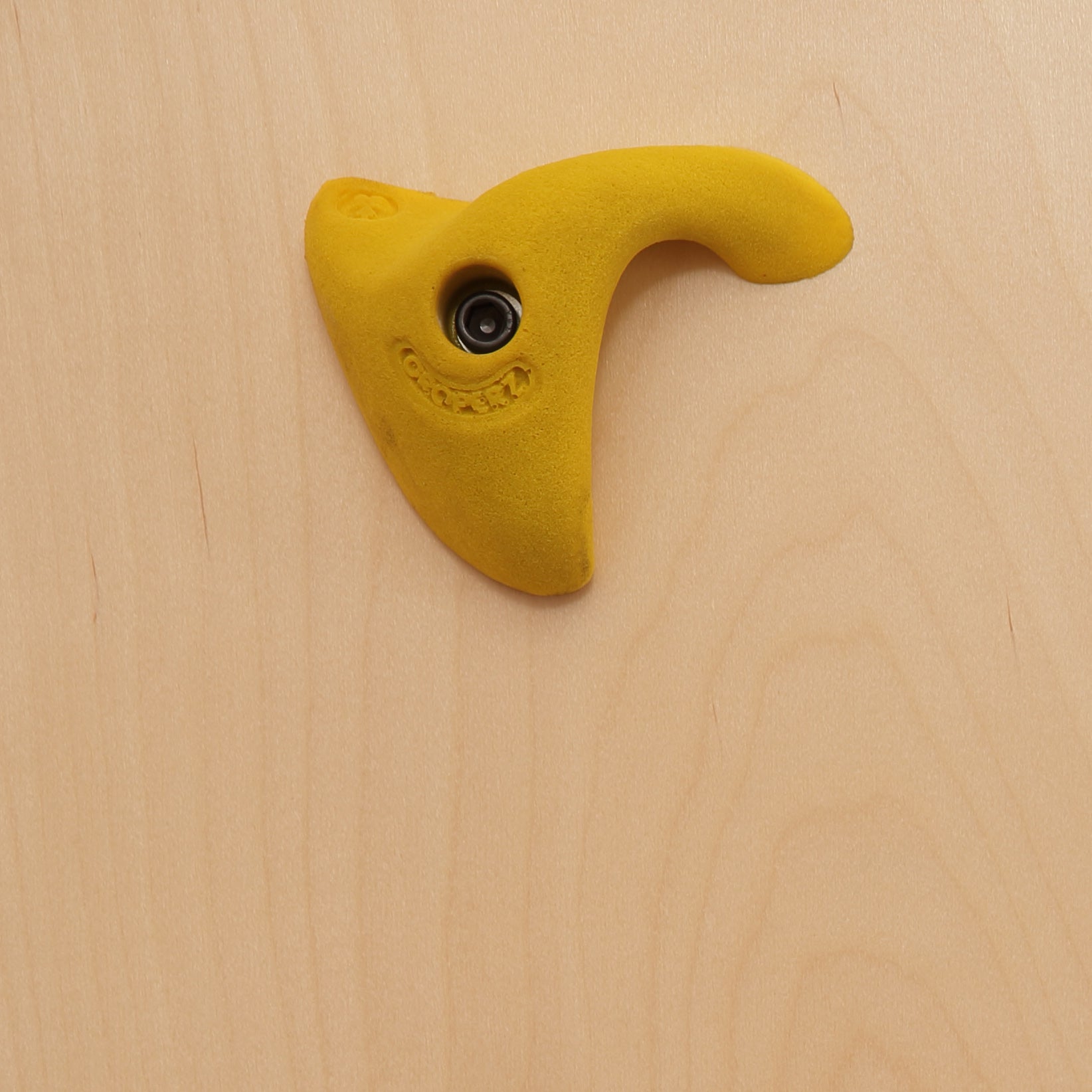 Climb-Able™ Wall – Everlast Climbing