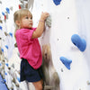 Home Climbing Wall Mountain Mural with Girl Climbing