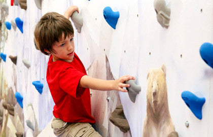 Mountain Mural Home Climbing Wall