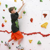 Discovery Dry-Erase Climbing Wall Shapes Activity